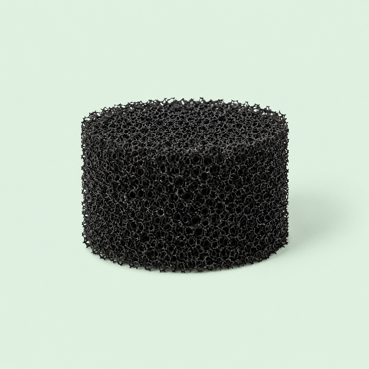 1x Skumfilter til SpotCleaner™ PRO
