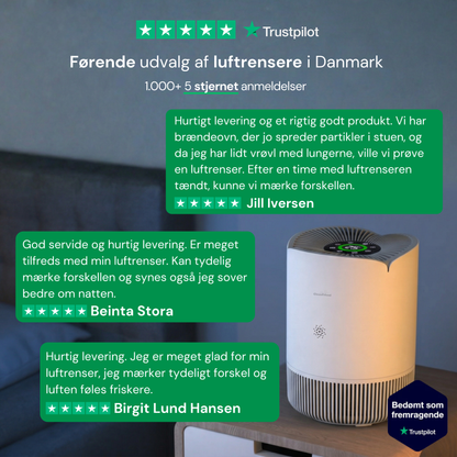 CleanFriend AirFlow30™ Luftrenser