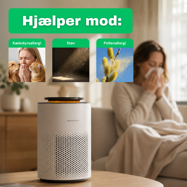 CleanFriend AirFlow15™ luftrenser – set i brug i stuen