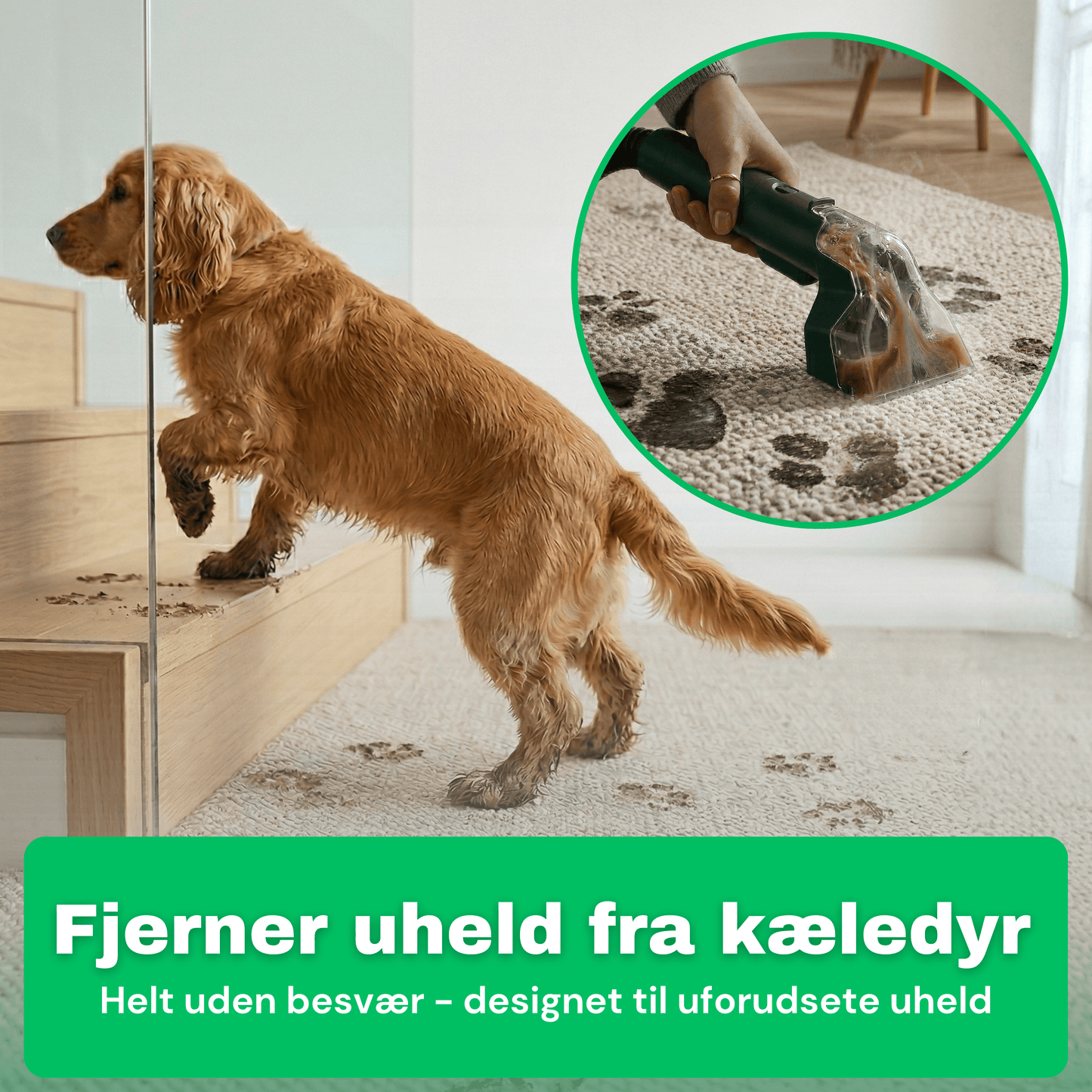 CleanFriend SpotCleaner™ Tæpperenser