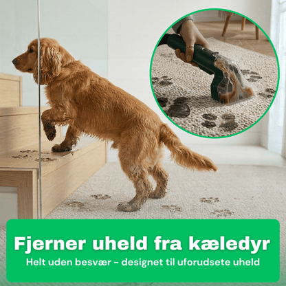 CleanFriend SpotCleaner™ Tæpperenser