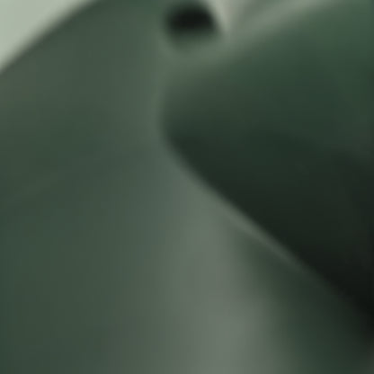 CleanFriend PureSteam™ Damprenser